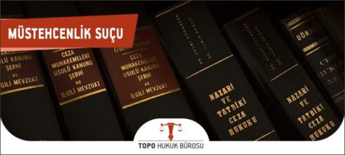 mustehcenlik sucu