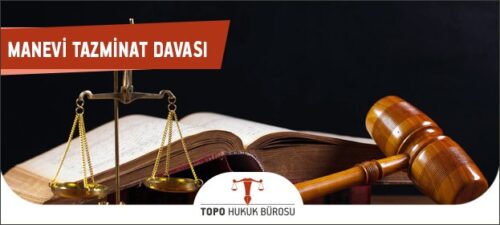 manevi tazminat davasi