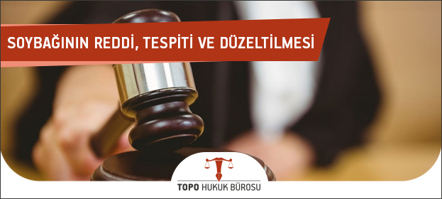 soybaginin reddi tespiti ve duzeltilmesi