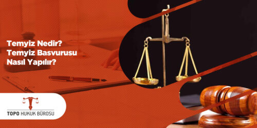 Temyiz Nedir